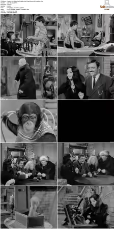 The Addams Family 1964 S01 720p BluRay x264-BROADCAST