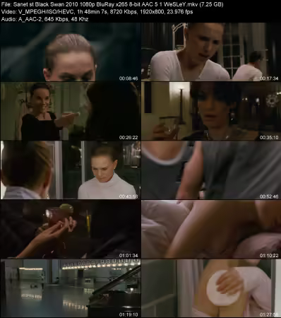 Black Swan 2010 1080p BluRay x265 8-bit AAC 5.1 WeSLeY