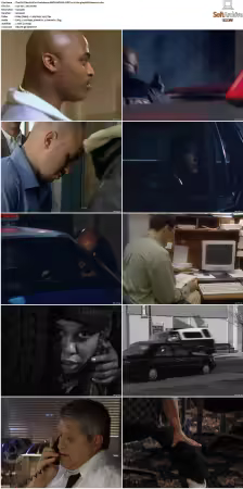 The F.B.I. Files S01 S07 AMZN WEB-DL DDP2.0 H264-playWEB
