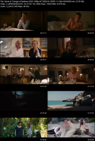 Triangle of Sadness 2022 1080p NF WEB-DL DDP 5.1 H264-HDSWEB