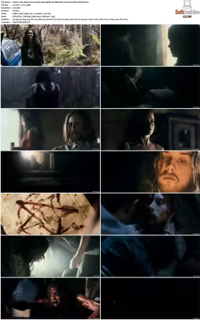 Evil Dead 2013 Unrated 1080p BRRip DV HDR HEVC X265 DTS-PoPCoRnUHD