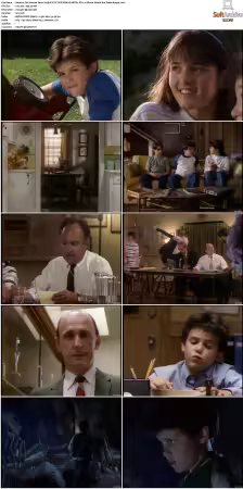 The Wonder Years S01 S06 NTSC DVD REMUX MPEG2 DD 2 0 Homecoming-Rmp4L
