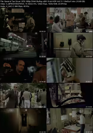 Taxi Driver 1976 1080p DS4K BluRay x265 10-bit HDR AAC 5.1 WeSLeY