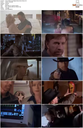 Walker Texas Ranger 1993 S01-S09 1080p WEB-DL H265 10bit DDP2.0-Zero00