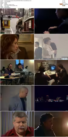 The F.B.I. Files S01 S07 AMZN WEB-DL DDP2.0 H264-playWEB