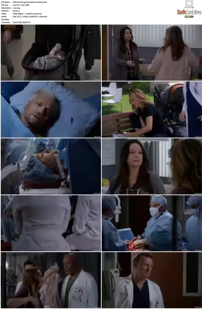 Greys Anatomy S16 DVDRip x264-PFa