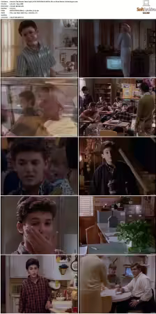 The Wonder Years S01-S06 NTSC DVD REMUX MPEG2 DD 2.0 Homecoming-Rmp4L