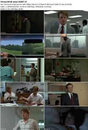 The Secret of My Success 1987 1080p x264 AC3 2.0 Multi PT-BR-GuyZo