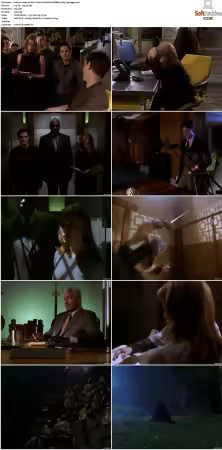 Special Unit 2 S01 S02 DVDRip x264-Zyuranger