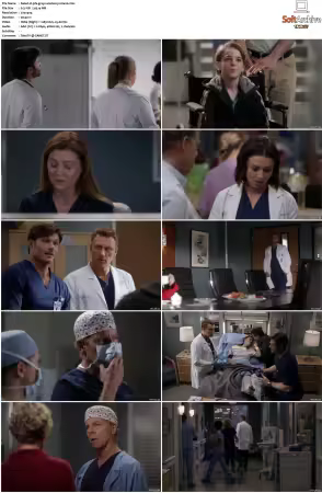 Greys Anatomy S16 DVDRip x264-PFa