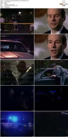 The FBI Files S01 S07 AMZN WEB-DL DDP2.0 H264-playWEB