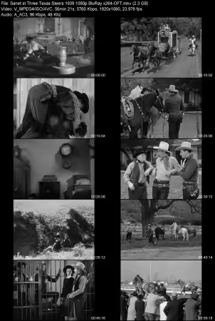Three Texas Steers 1939 1080p BluRay x264-OFT
