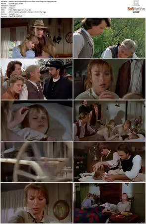 Dr Quinn Medicine Woman S01 MULTi 1080p WEB H264-UKDTV