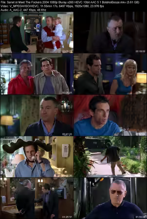 Meet The Fockers 2004 1080p Bluray x265 HEVC 10bit AAC 5.1 BolshoiBooze