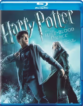 Harry Potter and the Half-Blood Prince 2009 1080p BluRay HEVC x265 5.1 BONE