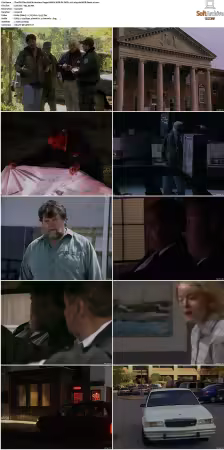 The F.B.I. Files S01 S07 AMZN WEB-DL DDP2.0 H264-playWEB