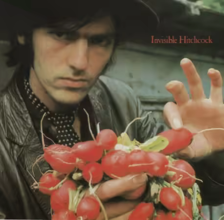 Robyn Hitchcock - Invisible Hitchcock (1995)