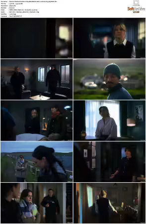 Shetland S10 2160p BB WEB-DL AAC2.0 HLG H265-playWEB