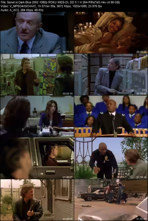 Dark Blue 2002 1080p ROKU WEB-DL DD 5.1 H264-PiRaTeS
