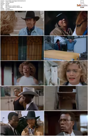 Walker Texas Ranger 1993 S01 S09 1080p WEB-DL H265 10bit DDP2.0-Zero00
