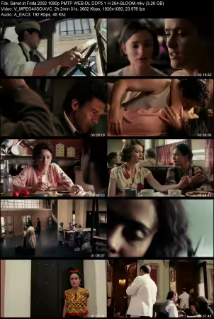 Frida 2002 1080p PMTP WEB-DL DDP 5.1 H264-BLOOM