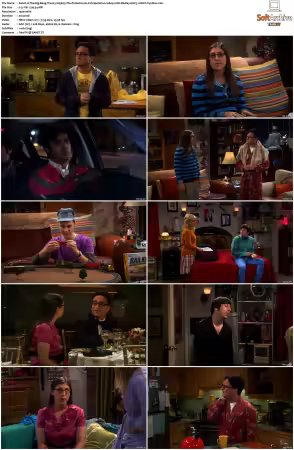 The Big Bang Theory 2007 Season 5 S05 1080p BluRay x265 HEVC 10bit AAC 5.1 Vyndros