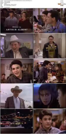 The Wonder Years S01-S06 NTSC DVD REMUX MPEG2 DD 2.0 Homecoming-Rmp4L
