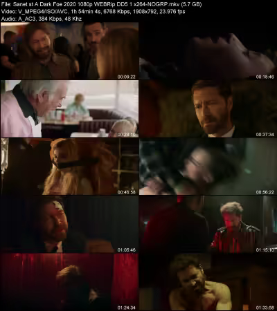 A Dark Foe 2020 1080p WEBRip DD 5.1 x264-NOGRP