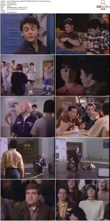 The Wonder Years S01-S06 NTSC DVD REMUX MPEG2 DD 2.0 Homecoming-Rmp4L
