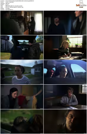 Shetland S10 2160p BB WEB-DL AAC2.0 HLG H265-playWEB