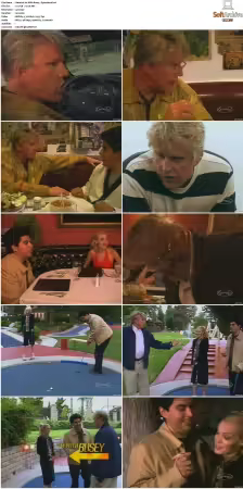 Im With Busey S01 XviD-NOGRP