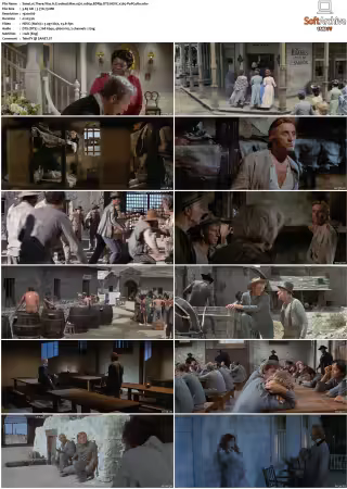 There Was A Crooked Man 1970 1080p BDRip DTS HEVC x265-PoPCoRn