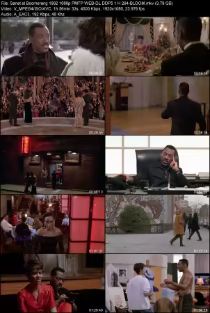 Boomerang 1992 1080p PMTP WEB-DL DDP 5.1 H264-BLOOM