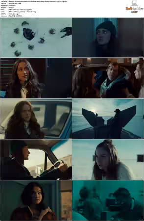 Wynonna Earp S01 S04 1080p WEBRip 10Bit DDP2 0 HEVC-d3g
