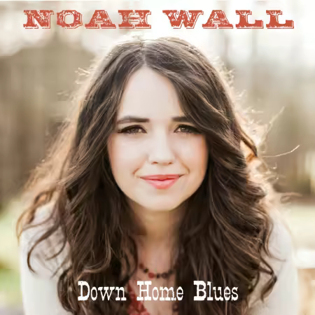 Noah Wall - Down Home Blues (2016/2025)