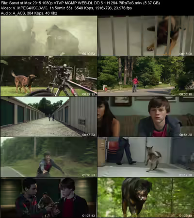 Max 2015 1080p ATVP MGMP WEB-DL DD 5.1 H264-PiRaTeS