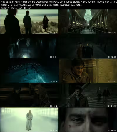 Harry Potter and the Deathly Hallows Part 2 2011 1080p BluRay HEVC x265 5.1 BONE