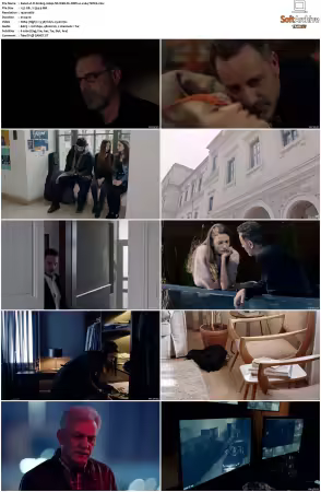 Fi S01 TURKISH 1080p NF WEB-DL DDP2.0 x264-TEPES