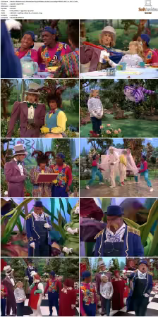 Adventures In Wonderland 1992 S01-S03 480p WEB-DL H264 AAC2.0-cT