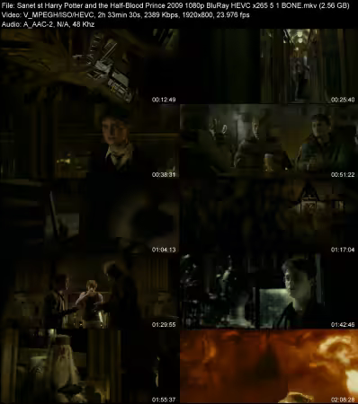 Harry Potter and the Half-Blood Prince 2009 1080p BluRay HEVC x265 5.1 BONE