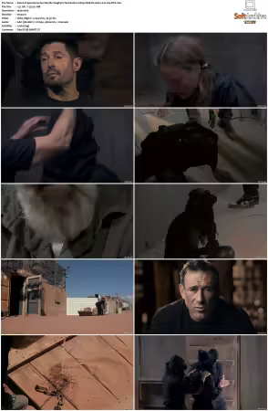 Special Forces Worlds Toughest Test S01 S04 1080p WEB-DL AAC2.0 H264-BTN
