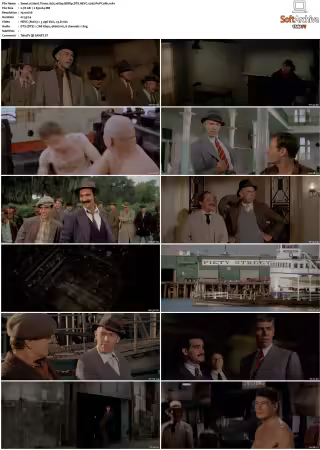 Hard Times 1975 1080p BDRip DTS HEVC x265-PoPCoRn