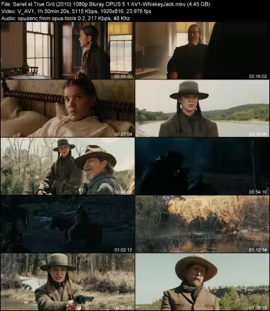 True Grit 2010 1080p Bluray OPUS 5.1 AV1-WhiskeyJack