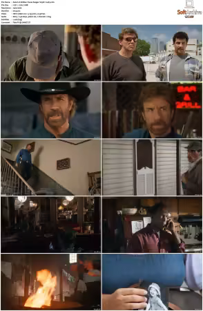 Walker Texas Ranger 1993 S01-S09 1080p WEB-DL H265 10bit DDP2.0-Zero00