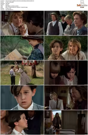 Dr Quinn Medicine Woman S01 MULTi 1080p WEB H264-UKDTV