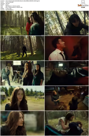 Wynonna Earp S01-S04 1080p WEBRip 10Bit DDP2.0 HEVC-d3g