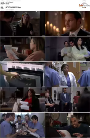 Greys Anatomy S16 DVDRip x264-PFa