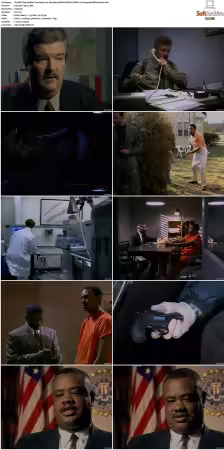 The F.B.I. Files S01 S07 AMZN WEB-DL DDP2.0 H264-playWEB