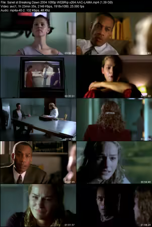 Breaking Dawn 2004 1080p WEBRip x264 AAC-LAMA