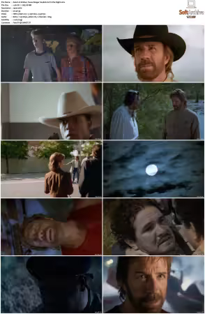 Walker Texas Ranger 1993 S01-S09 1080p WEB-DL H265 10bit DDP2.0-Zero00